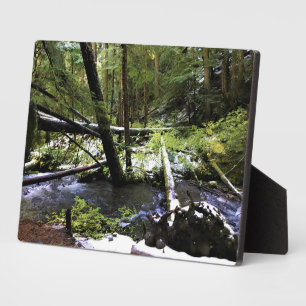 Little Zigzag River, OR Plaque