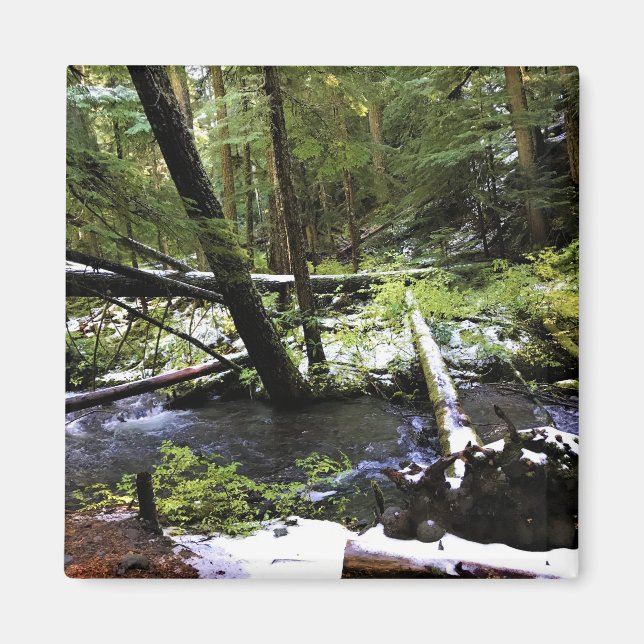 Little Zigzag River, Oregon Magnet (Front)