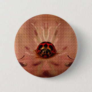 LittleLadyBug 6 Cm Round Badge