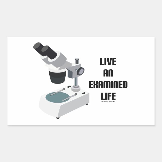 Live An Examined Life (Microscope) Rectangular Sticker (Front)