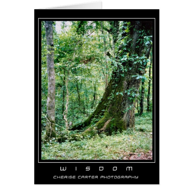 Live and Learn (Front)