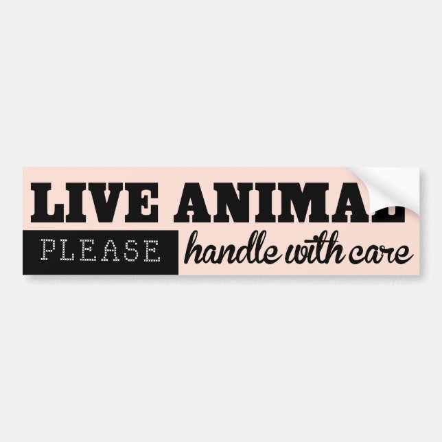 LIVE ANIMAL Handle With Care Pet Kennel Sticker (Front)