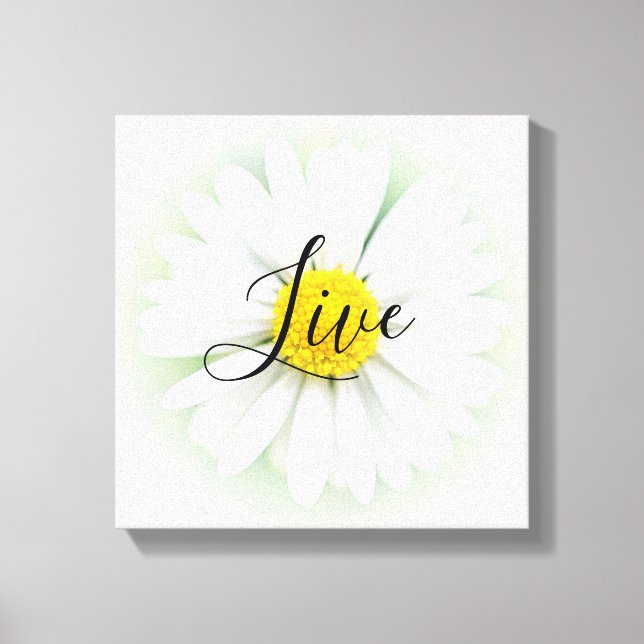 Live  Daisy Canvas Print (Front)