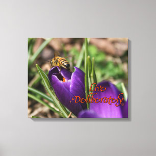 Live Deliberately w/honey bee pollinating Crocus Canvas Print