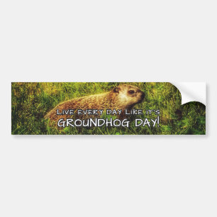 Live every day like it's Groundhog Day! sticker