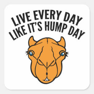 Live Every Day Like It's Hump Day Square Sticker
