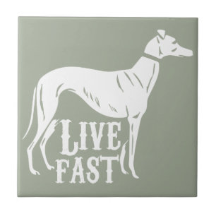 Live Fast Tile