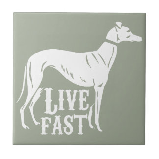 Live Fast Tile