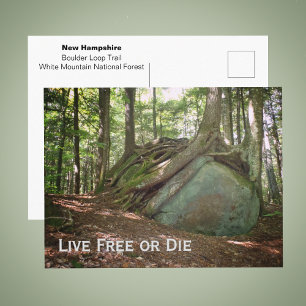Live Free or Die New Hampshire Photo Postcard