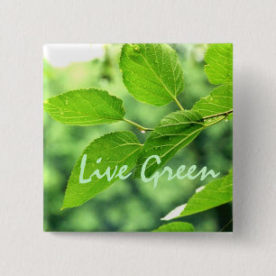 'Live Green' Button