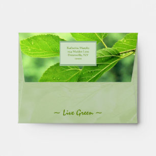 'Live Green' Envelopes