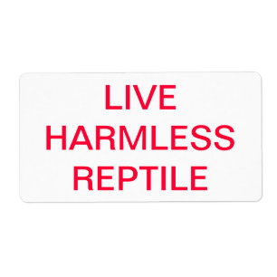 LIVE HERMLESS REPTILE