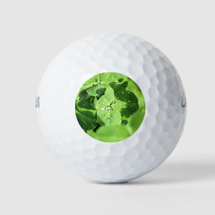 Live In Clover Golf Balls
