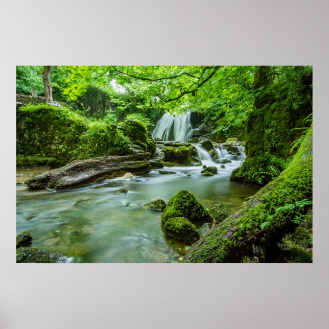 Live in Harmony Poster (Front)