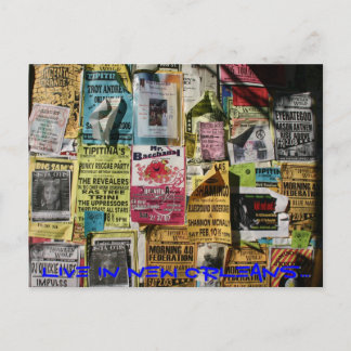 Live in New Orleans Postcard