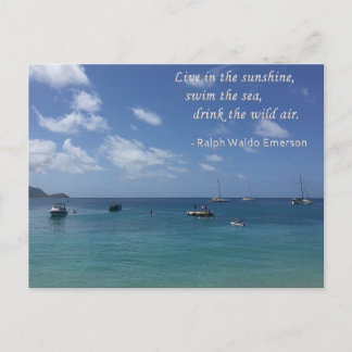 Live in the sunshine Postcard