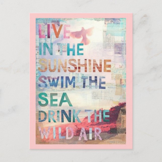 Live in the Sunshine Postcard (Front)