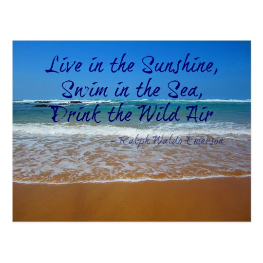 Live in the Sunshine, Swim and Drink Postcard