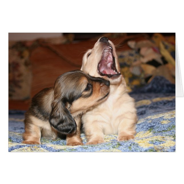 Live, Laugh, Love (Front Horizontal)