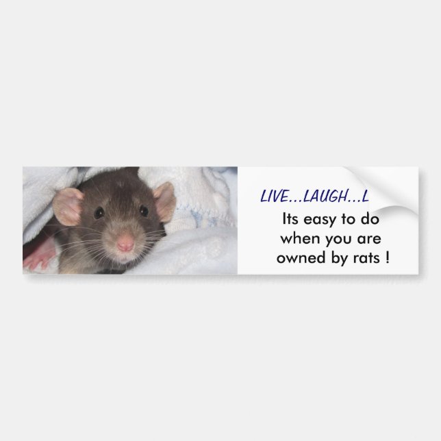 Live,Laugh,Love Bumper Sticker (Front)