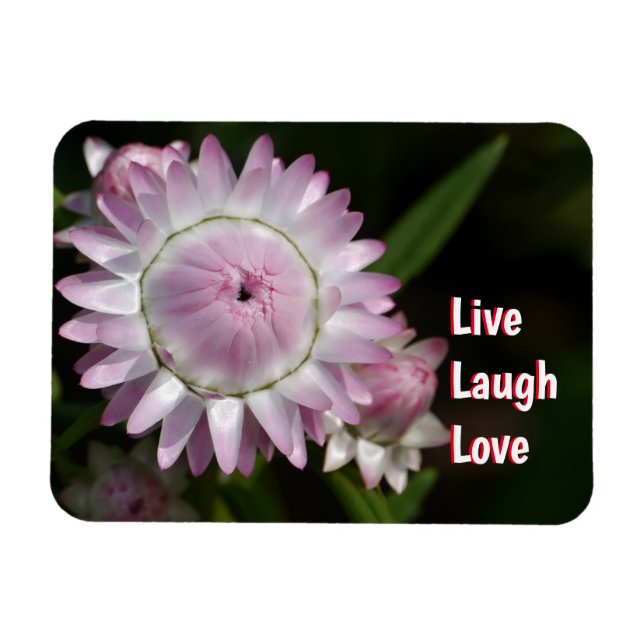 Live Laugh Love Daisy Magnet (Horizontal)