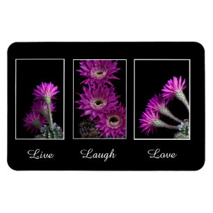 Live,Laugh,Love trio of Cactus flowers Magnet
