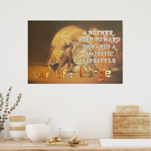 Live Life Large Have a Nice Day Cat & Dog Snuggle Poster
