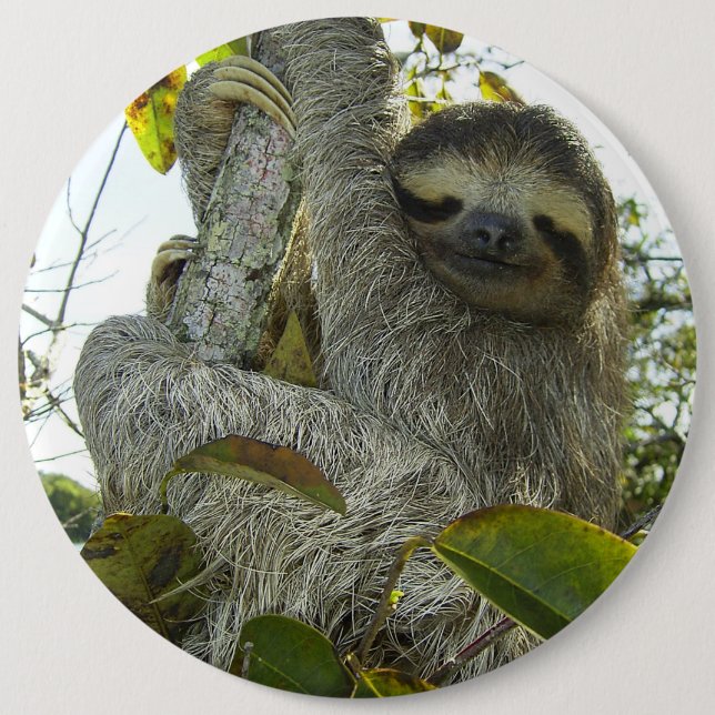 Live Life Like a Sloth 6 Cm Round Badge (Front)