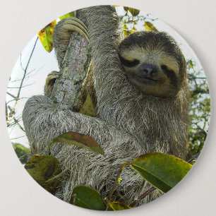 Live Life Like a Sloth 6 Cm Round Badge