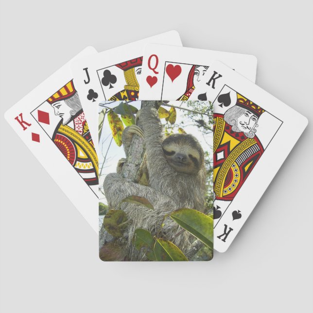 Live Life Like a Sloth Playing Cards (Back)