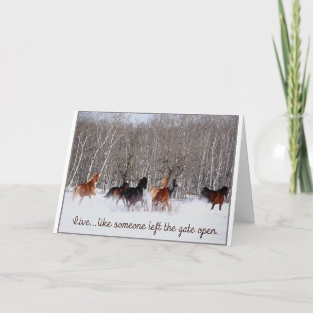 Live Life.....Like someone left the gate open! Card (Front)