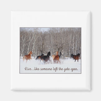 Live Life.....Like someone left the gate open! Magnet