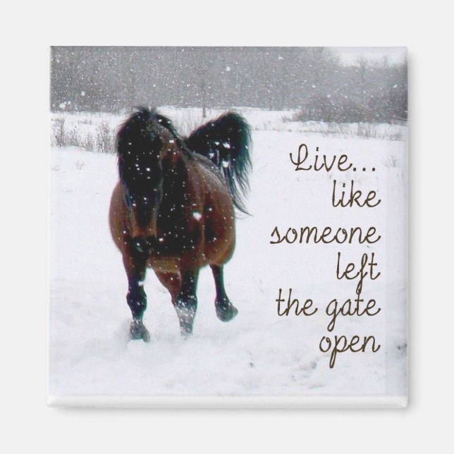 Live Life! Magnet (Front)