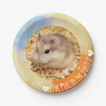 Live Life to the Fullest - Hammyville Hamsters