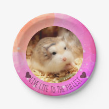 Live Life to the Fullest - Hammyville Hamsters