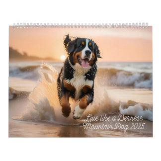 Live Like A Bernese 2025 Wall Calendar           
