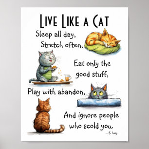 Live Like a Cat Humourous Cartoon Wall Art 
