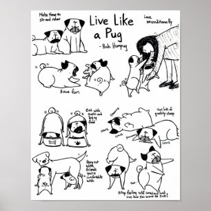 Live Like A Pug! Poster