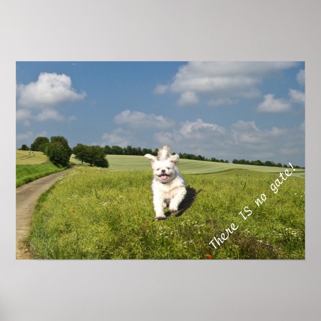 "Live Like..." Poster - Buddhist (Matrix) Version! (Front)