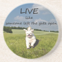"Live Like Someone Left the Gate Open" Coaster