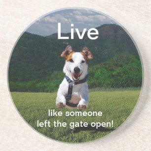 "Live Like Someone Left the Gate Open" Coaster