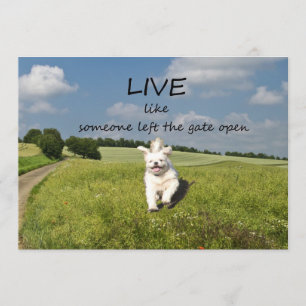"Live Like Someone Left the Gate Open" Invitation
