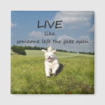 "Live Like Someone Left the Gate Open" Magnet<br><div class="desc">Cute,  fluffy dog,  full of joy,  bounding through a field,  free. With the phrase: "Live like someone left the gate open" A great reminder to us all to seize the moment,  and enjoy life more! :)</div>