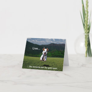 "Live Like Someone Left the Gate Open" Note Cards