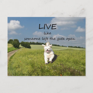 "Live Like Someone Left the Gate Open" Postcard