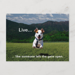 "Live Like Someone Left the Gate Open" Postcard