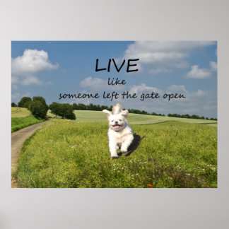Live Like Someone Left the Gate Open Poster