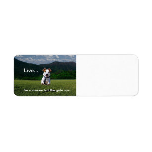 "Live Like Someone Left the Gate Open" RA Label