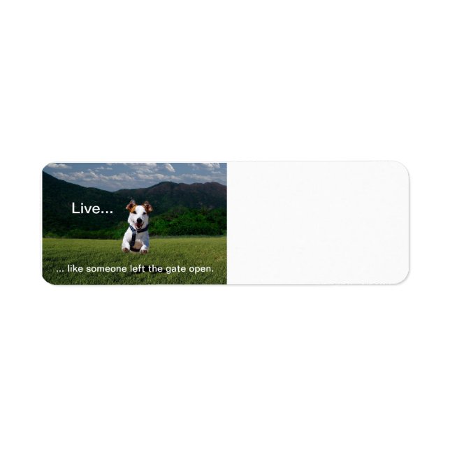"Live Like Someone Left the Gate Open" RA Label (Front)