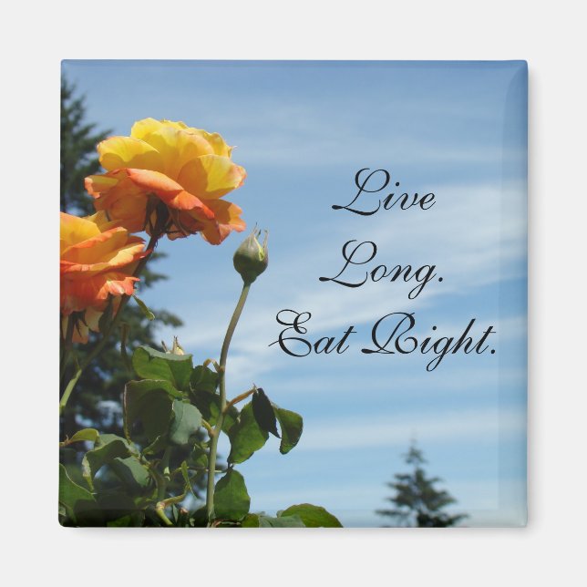 Live Long magnets Eat Right Nutrition Healthy (Front)
